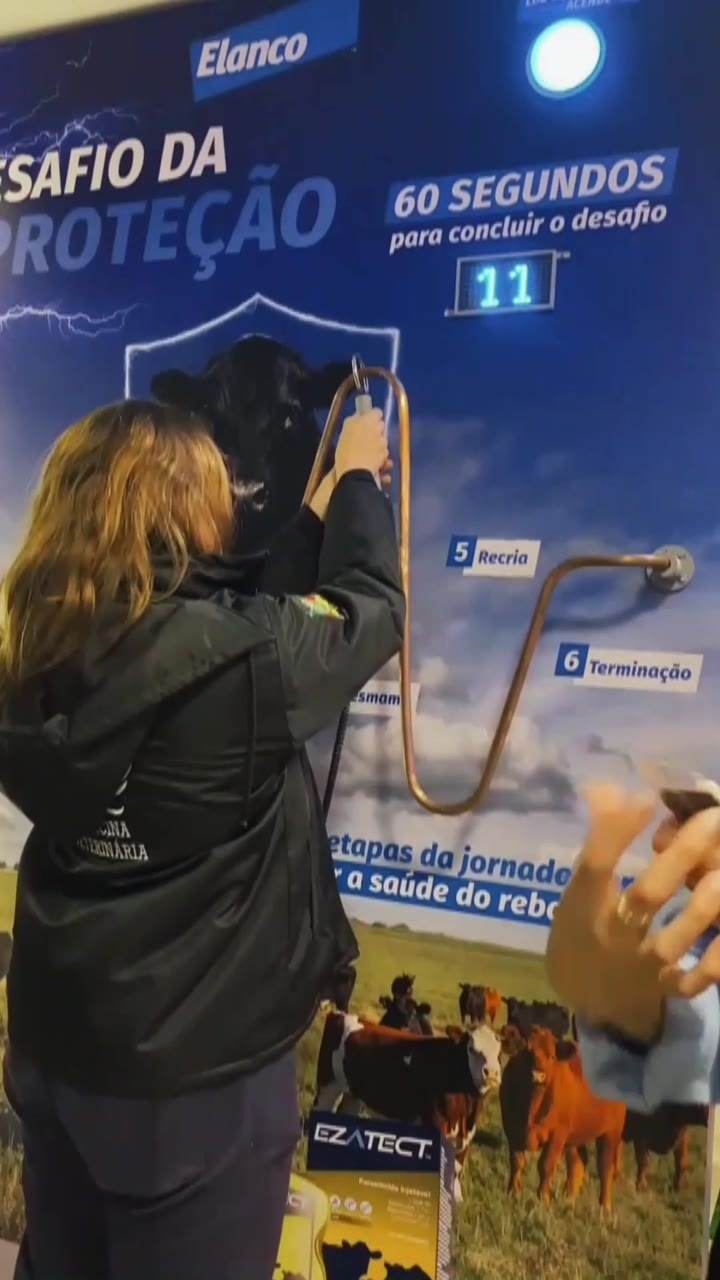 Nervo Teste - 2